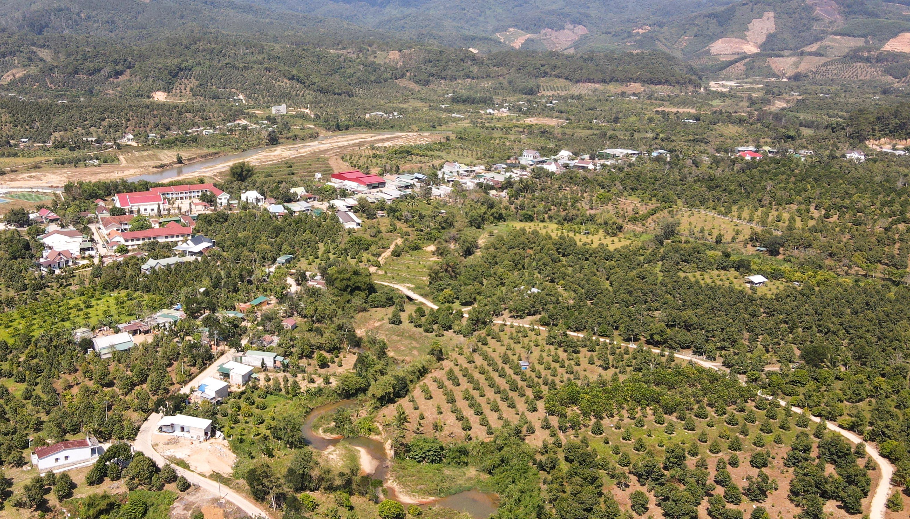 Vùng trồng sầu riêng xã Sơn Bình, huyện Khánh Sơn.