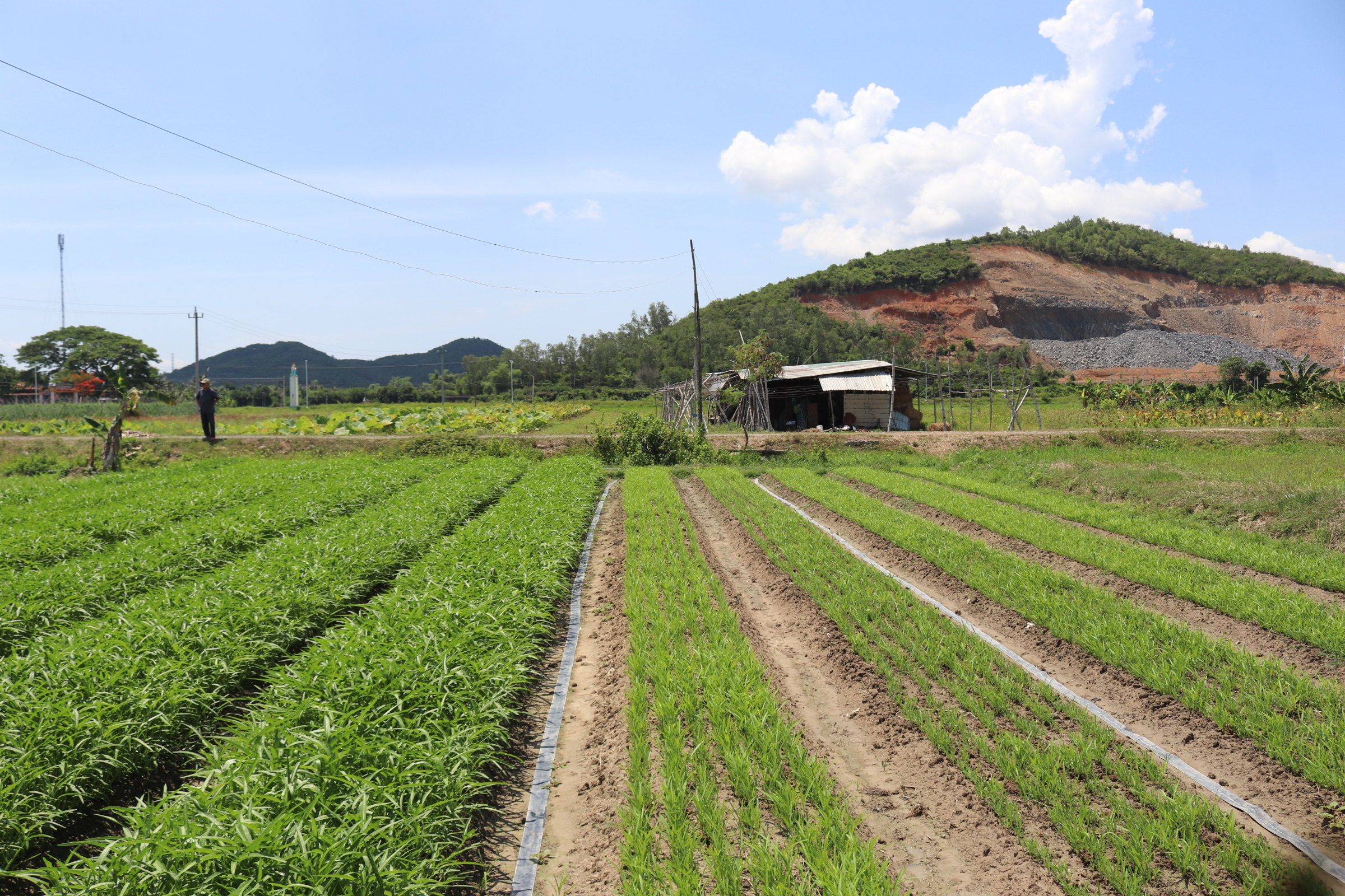 Buông lỏng quản lý đất đai - Kỳ cuối: Cần nâng cao vai trò, trách nhiệm