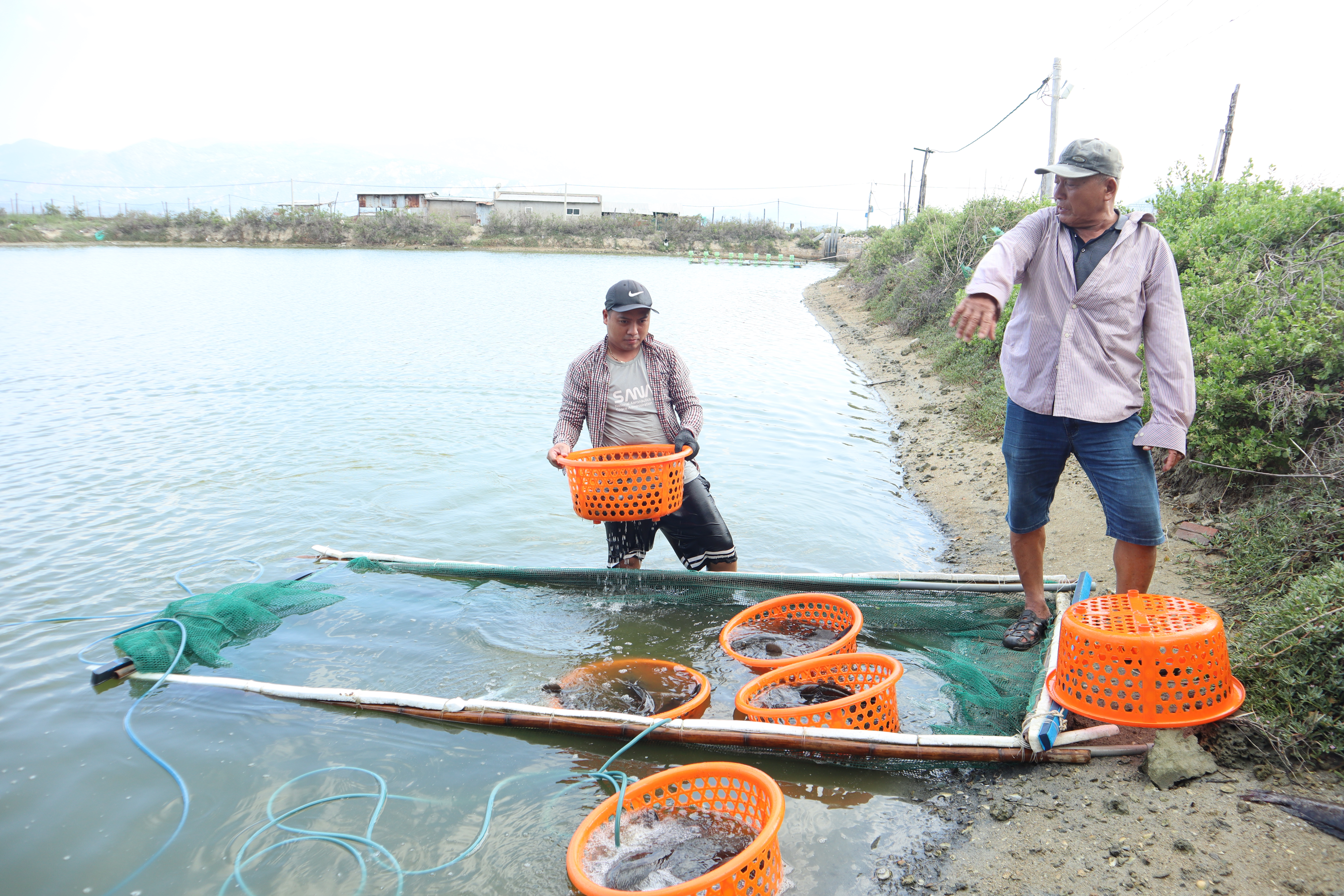 Mô hình nuôi cá mú Trân Châu ở xã Cam Thịnh Đông giúp người dân thoát nghèo.