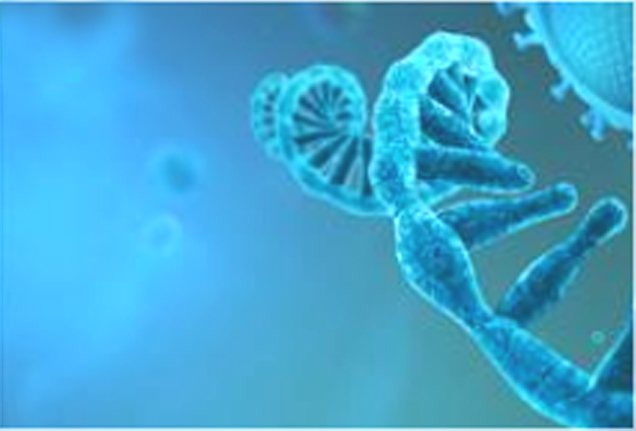 Giới khoa học lần đầu tiên công bố bản đồ hoàn chỉnh tế bào não của động vật có vú