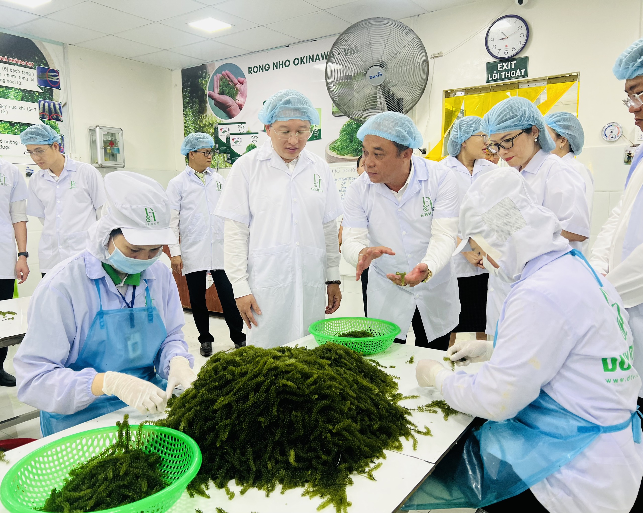 Đồng chí Nguyễn Hải Ninh - Ủy viên Trung ương Đảng, Bí thư Tỉnh ủy nghe giới thiệu sản phẩm rong nho của DT Group.