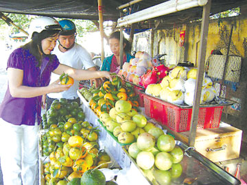 Nhớ… Tết quê!