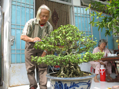 Thú săn cây kiểng