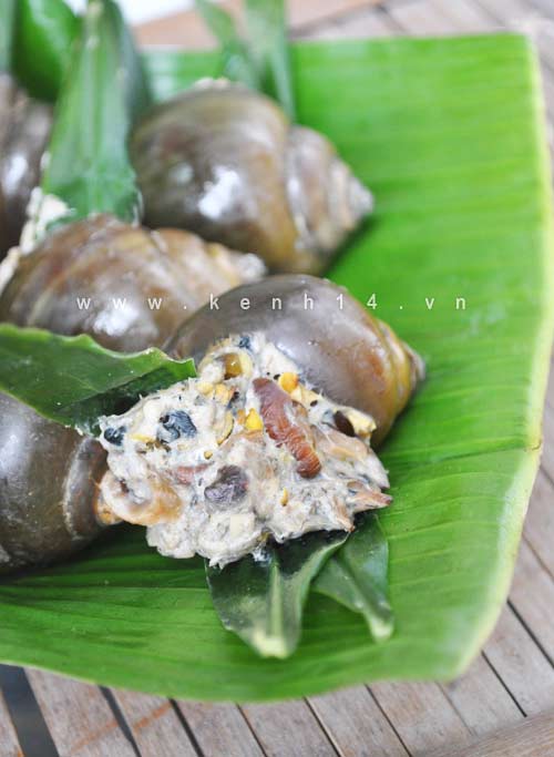 Món ăn: Thơm ngon ốc hấp lá gừng