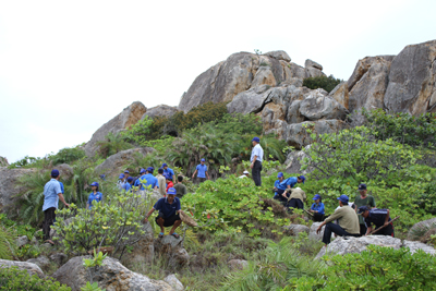 Phủ xanh đảo yến