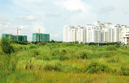 Chấn chỉnh công tác quản lý đất đai