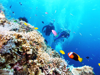 Cần chấn chỉnh hoạt động kinh doanh lặn biển