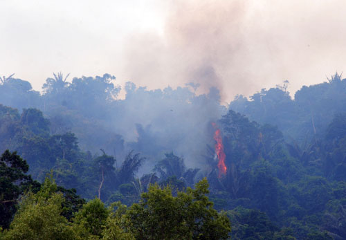 Hơn 5.170ha rừng có nguy cơ cháy cao