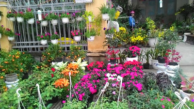 Tết thời công nghệ