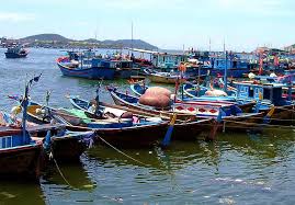 Cảng Hòn Rớ: Đón 11 tàu khai thác xa bờ cập cảng trong những ngày đầu năm mới