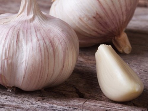 Ăn tỏi có thể giúp giảm huyết áp cao - Ảnh: Shutterstock