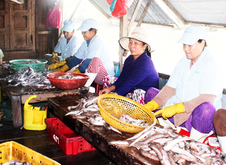 Cơ sở chế biến chả cá Thuận đang mong muốn được chuyển đến khu công nghiệp hoặc cụm công nghiệp  để tiếp tục hoạt động