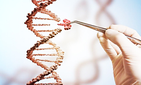  Công nghệ chỉnh sửa gen CRISPR có thể là phương pháp tiềm năng để chữa trị HIV