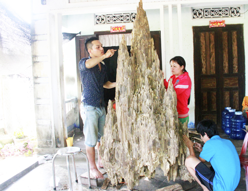 Sức sống mới ở làng trầm