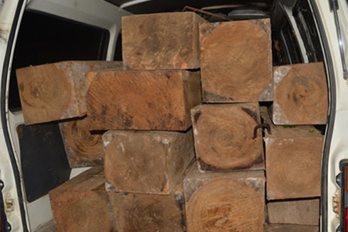 Ninh Hòa: Phát hiện 3 vụ vi phạm Luật Lâm nghiệp