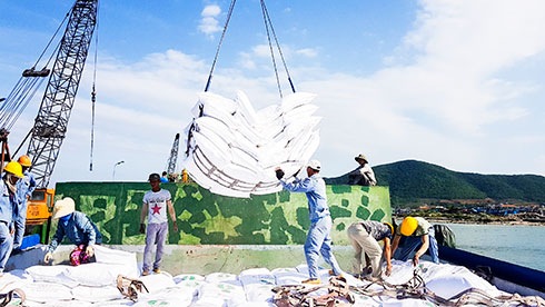 Mưu sinh trên bến cảng