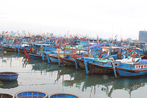 Tàu cá neo đậu tránh trú tại khu vực cảng Hòn Rớ (TP. Nha Trang)