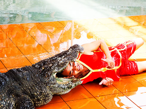 Biểu diễn xiếc cá sấu tại Nha Trang của Công ty Crocodile And Snake Show. 