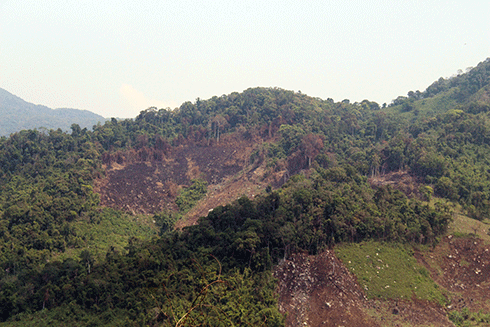 Nhiều khu vực trên các đỉnh núi ở thượng nguồn thôn Ko Róa đã bị người dân phát, đốt để lấy đất sản xuất 