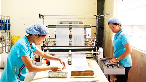 Cơ hội nâng tầm thương hiệu