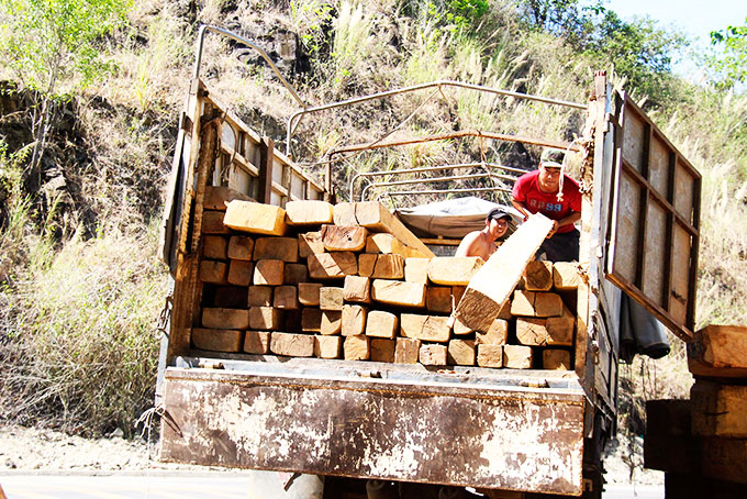 Một ô tô vận chuyển gỗ làm lồng bè bị Đội Kiểm tra liên ngành  chống phá rừng tỉnh phát hiện, xử lý. 