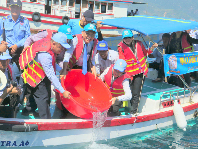 Lãnh đạo Công ty Yến sào Khánh Hòa cùng đại biểu thả cá giống tại vùng biển Đông Tằm