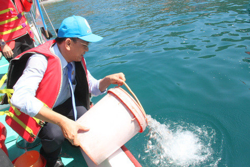 Ông Lê Hữu Hoàng - Chủ tịch HĐTV Công ty Yến sào Khánh Hòa thả cá giống tái tạo nguồn lợi thủy sản