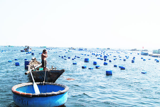 Cam Ranh: Kiến nghị hỗ trợ kinh phí cắm mốc vùng quy hoạch nuôi trồng thủy sản