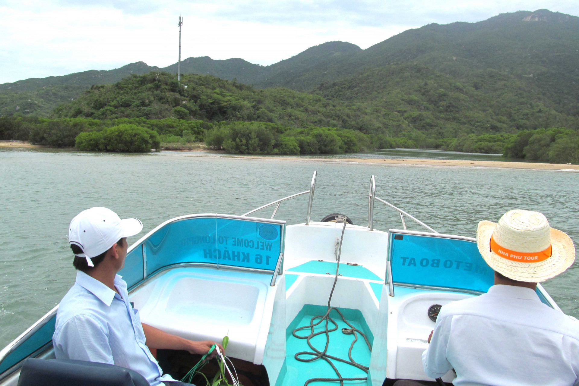 Rừng ngập mặn của Công ty Cổ phần Du lịch Long Phú.