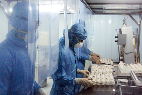 Quy trình sản xuất vắc xin của  Công ty Cổ phần Vắc xin và Sinh phẩm Nha Trang.