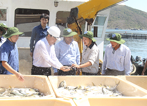 Bộ trưởng Nguyễn Xuân Cường (thứ 2 từ trái qua) thăm Trang trại nuôi cá biển của Viện Nghiên cứu Nuôi trồng thủy sản I