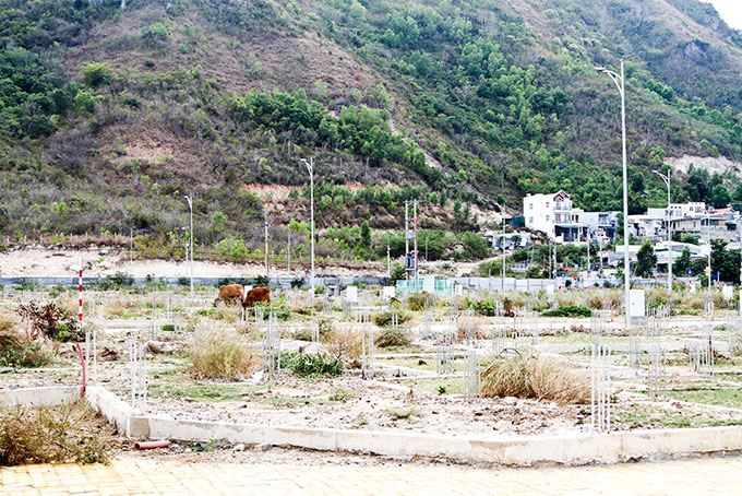 Dự án Khu nhà ở gia đình quân đội tại phường Vĩnh Hòa.