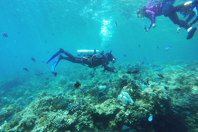 Vẻ đẹp của hệ sinh thái rạn san hô ở Hòn Mun.