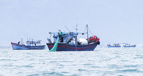 Giã cào trên vịnh Vân Phong