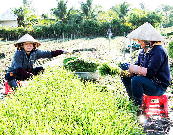 Thoát nghèo nhờ nguồn vốn xoay vòng