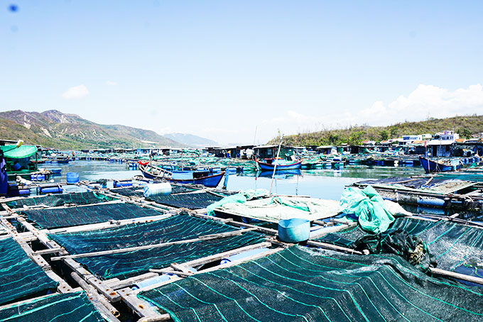 Nuôi trồng thủy sản ở khu vực Trí Nguyên hiện nay.