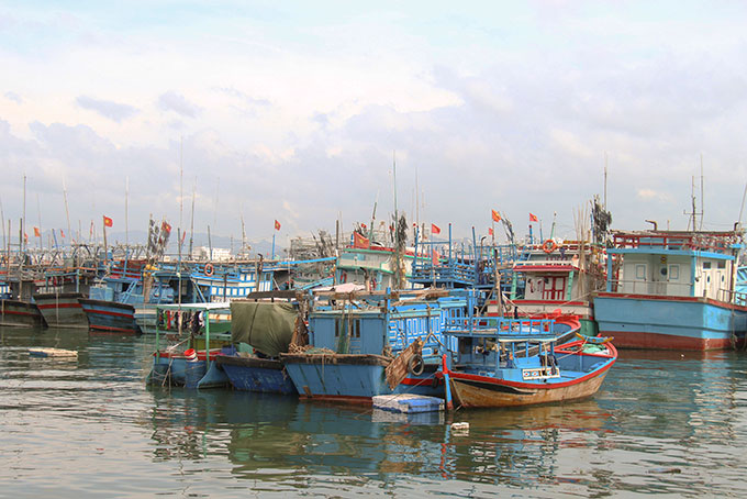 Tàu thuyền neo đậu tại cảng Hòn Rớ, Nha Trang