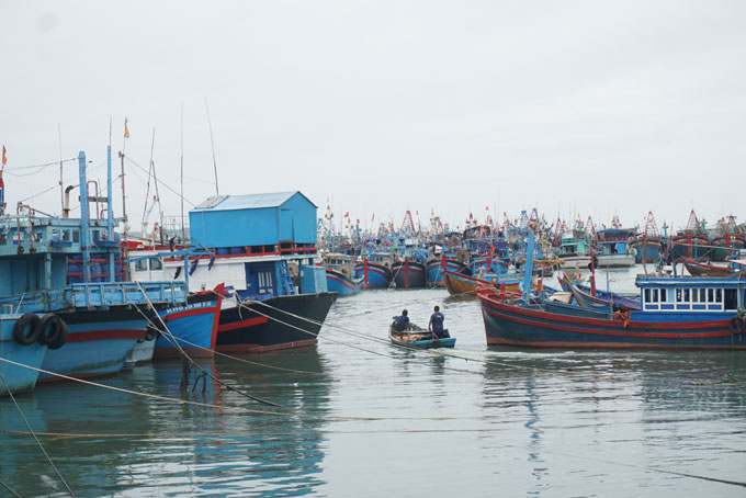Tàu thuyền neo đậu tại khu vực cảng cá Hòn Rớ.