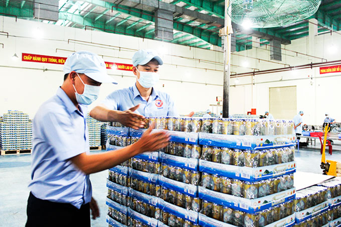 Sản phẩm nước yến của Công ty Yến sào Khánh Hòa  có chỉ số sản xuất tăng liên tục trong năm 2019.