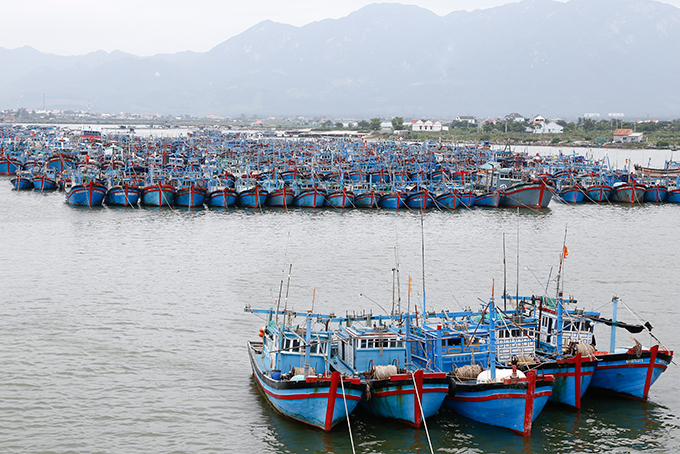Khu neo đậu tàu thuyền tránh trú bão Ninh Hải đang chứa trên 300 tàu thuyền