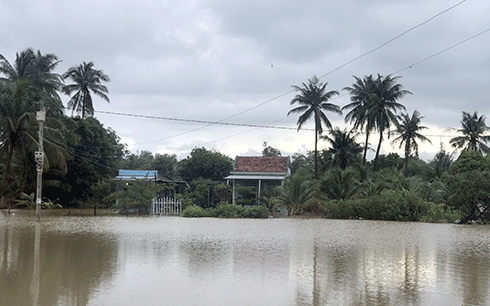 Một khu vực bị ngập cục bộ ở phường Ninh Thủy
