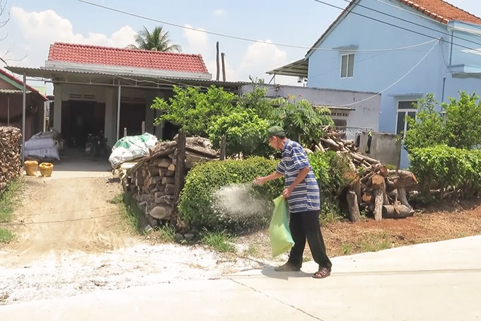 Người chăn nuôi ở Diên Khánh rắc vôi bột khử trùng môi trường chăn nuôi.