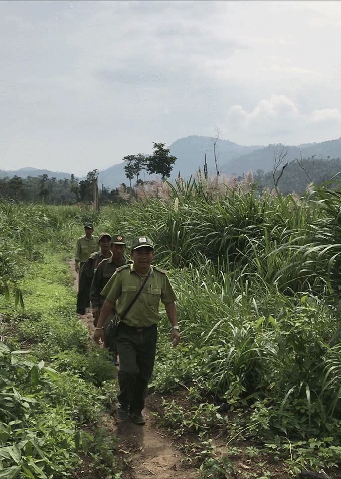 Đoàn kiểm tra của UBND thị xã Ninh Hòa vào khu vực rừng Bến Lễ để vận động người dân trở về nơi ở cũ