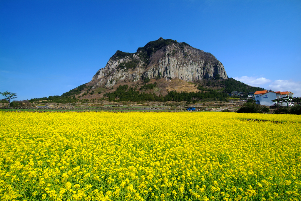Phong cảnh tuyệt đẹp ở đảo Jeju