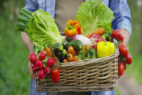 Ăn nhiều thực vật - trái cây, rau, đậu, các loại hạt - có tác động đáng kể và tích cực đến sức khỏe của bạn - Ảnh: Shutterstock