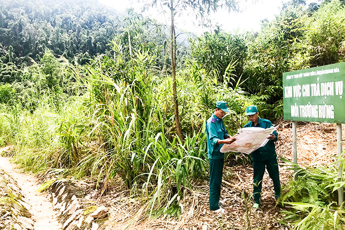 Nhân viên quản lý bảo vệ rừng chuyên trách Công ty TNHH một thành viên Lâm sản Khánh Hòa tuần tra tại khu vực chi trả dịch vụ môi trường rừng.