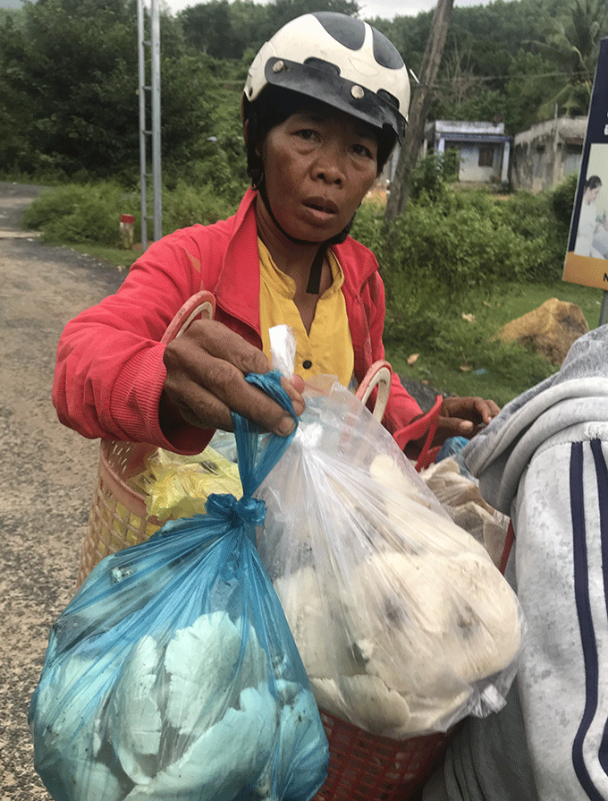 Một người dân xã Sơn Tân với số nấm mối vừa hái được từ rừng