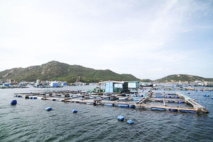 Vùng quy hoạch nuôi trồng thủy sản ở đảo Bình Ba.