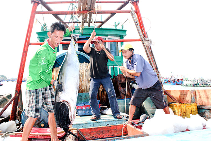 Các nghiệp đoàn nghề cá đã tạo mối đoàn kết, giúp ngư dân an tâm bám biển.