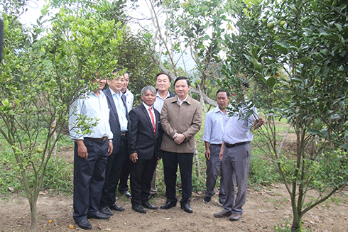 Đoàn công tác của Bí thư Tỉnh ủy Nguyễn Khắc Định thăm mô hình trồng cây ăn quả của đồng bào dân tộc thiểu số tại Khánh Sơn.